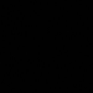 Meet your Posher, Daisy